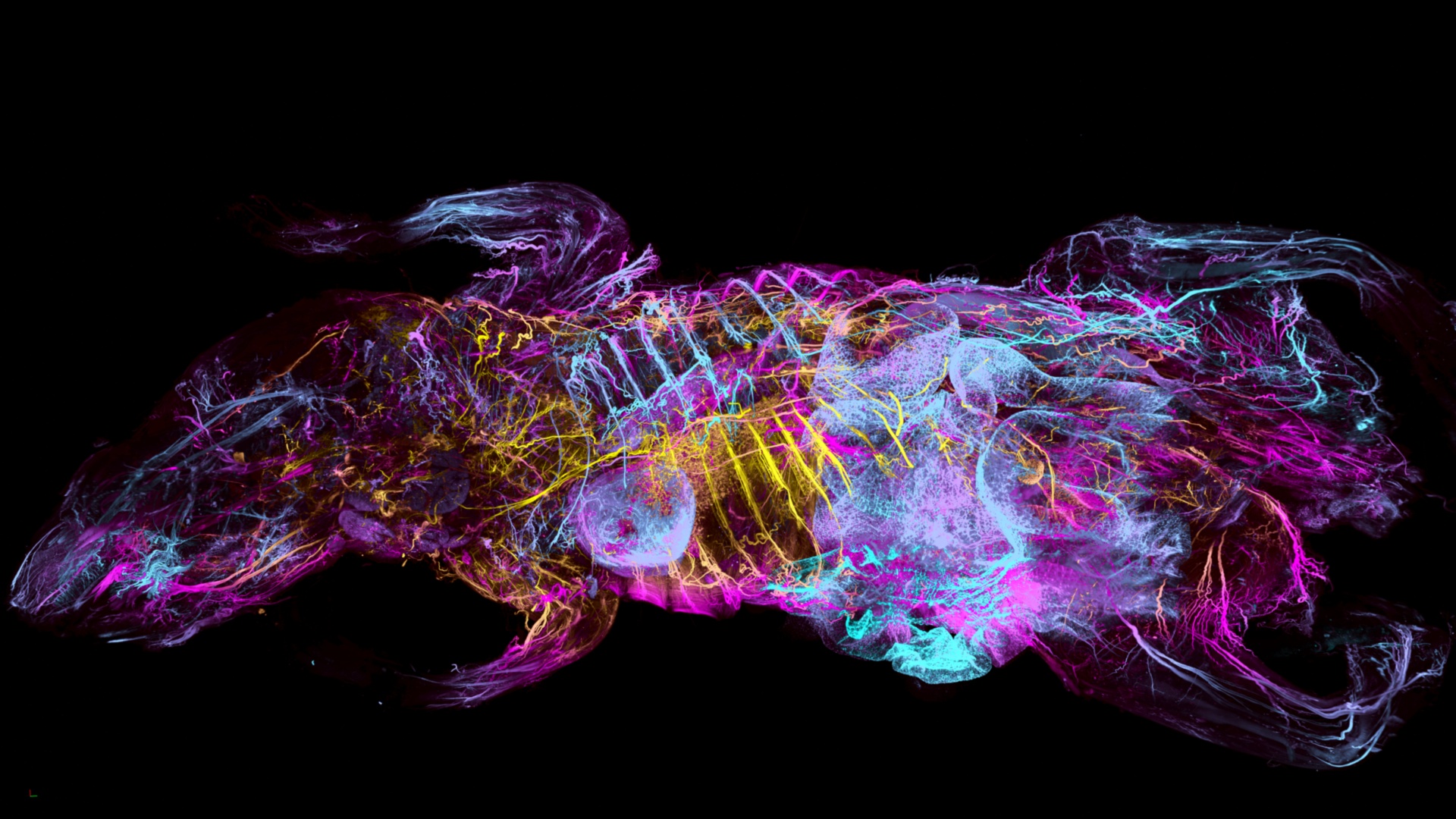 Building advanced AI to cure diseases